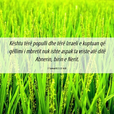 Picture 06 - 2 Samuelit 3:37 ALB - Kështu tërë populli dhe tërë Izraeli e - Bible Verse Picture