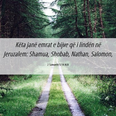 Picture 06 - 2 Samuelit 5:14 ALB - Këta janë emrat e bijve që i lindën në - Bible Verse Picture