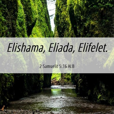 Picture 06 - 2 Samuelit 5:16 ALB - Elishama, Eliada, - Bible Verse Picture