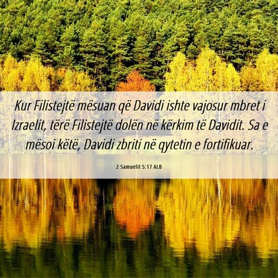 Picture 06 - 2 Samuelit 5:17 ALB - Kur Filistejtë mësuan që Davidi ishte vajosur - Bible Verse Picture