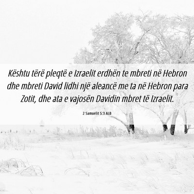 Picture 06 - 2 Samuelit 5:3 ALB - Kështu tërë pleqtë e Izraelit erdhën te - Bible Verse Picture