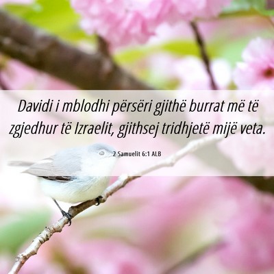 Picture 06 - 2 Samuelit 6:1 ALB - Davidi i mblodhi përsëri gjithë burrat më të - Bible Verse Picture