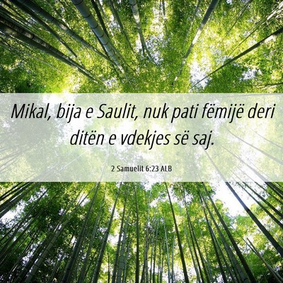Picture 06 - 2 Samuelit 6:23 ALB - Mikal, bija e Saulit, nuk pati fëmijë deri - Bible Verse Picture
