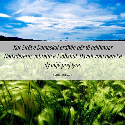 Picture 06 - 2 Samuelit 8:5 ALB - Kur Sirët e Damaskut erdhën për të ndihmuar - Bible Verse Picture