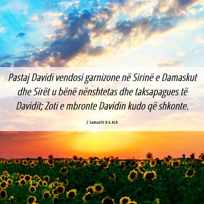 Picture 06 - 2 Samuelit 8:6 ALB - Pastaj Davidi vendosi garnizone në Sirinë e - Bible Verse Picture