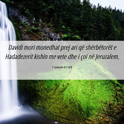 Picture 06 - 2 Samuelit 8:7 ALB - Davidi mori monedhat prej ari që shërbëtorët - Bible Verse Picture