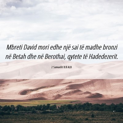 Picture 06 - 2 Samuelit 8:8 ALB - Mbreti David mori edhe një sai të madhe bronzi - Bible Verse Picture