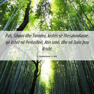Picture 06 - 2 Thesalonikasve 1:1 ALB - Pali, Silvani dhe Timoteu, kishës së - Bible Verse Picture