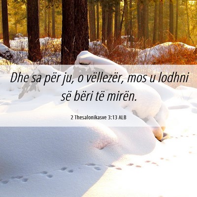 Picture 06 - 2 Thesalonikasve 3:13 ALB - Dhe sa për ju, o vëllezër, mos u lodhni së - Bible Verse Picture
