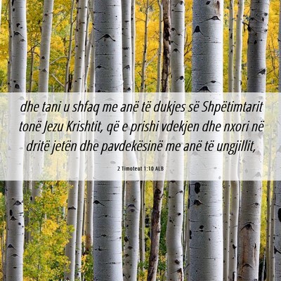 Picture 06 - 2 Timoteut 1:10 ALB - dhe tani u shfaq me anë të dukjes së - Bible Verse Picture