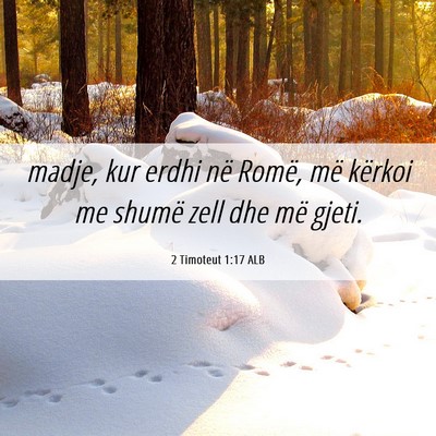 Picture 06 - 2 Timoteut 1:17 ALB - madje, kur erdhi në Romë, më kërkoi me shumë - Bible Verse Picture