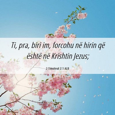 Picture 06 - 2 Timoteut 2:1 ALB - Ti, pra, biri im, forcohu në hirin që është - Bible Verse Picture