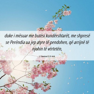 Picture 06 - 2 Timoteut 2:25 ALB - duke i mësuar me butësi kundërshtarët, me - Bible Verse Picture