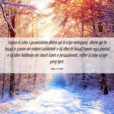 Picture 06 - Abdia 1:11 ALB - Sepse ti ishe i pranishëm ditën që ti rrije - Bible Verse Picture