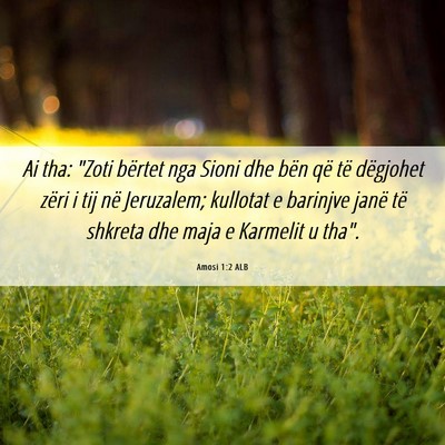 Picture 06 - Amosi 1:2 ALB - Ai tha: 