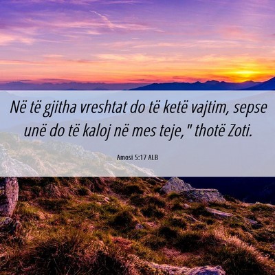 Picture 06 - Amosi 5:17 ALB - Në të gjitha vreshtat do të ketë vajtim, - Bible Verse Picture