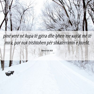 Picture 06 - Amosi 6:6 ALB - pinë verë në kupa të gjëra dhe lyhen me - Bible Verse Picture