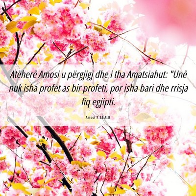 Picture 06 - Amosi 7:14 ALB - Atëherë Amosi u përgjigj dhe i tha Amatsiahut: - Bible Verse Picture