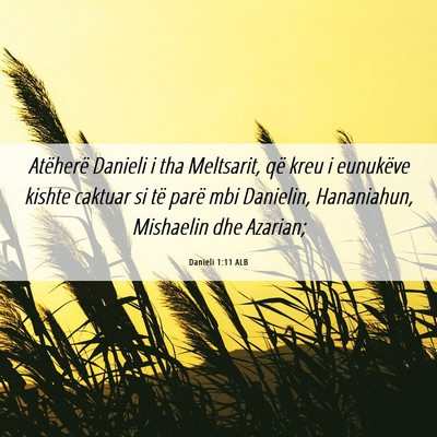 Picture 06 - Danieli 1:11 ALB - Atëherë Danieli i tha Meltsarit, që kreu i - Bible Verse Picture