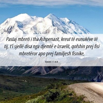 Picture 06 - Danieli 1:3 ALB - Pastaj mbreti i tha Ashpenazit, kreut të - Bible Verse Picture