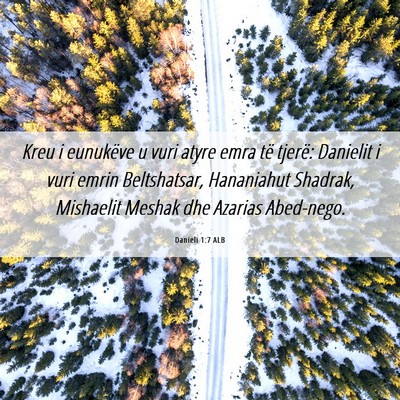 Picture 06 - Danieli 1:7 ALB - Kreu i eunukëve u vuri atyre emra të tjerë: - Bible Verse Picture