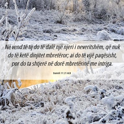 Picture 06 - Danieli 11:21 ALB - Në vend të tij do të dalë një njeri i - Bible Verse Picture
