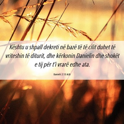 Picture 06 - Danieli 2:13 ALB - Kështu u shpall dekreti në bazë të të cilit - Bible Verse Picture