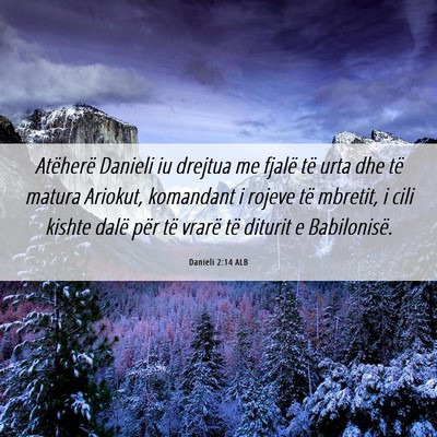 Picture 06 - Danieli 2:14 ALB - Atëherë Danieli iu drejtua me fjalë të urta - Bible Verse Picture