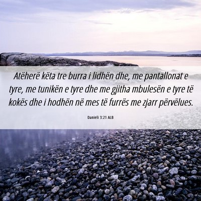 Picture 06 - Danieli 3:21 ALB - Atëherë këta tre burra i lidhën dhe, me - Bible Verse Picture