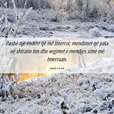 Picture 06 - Danieli 4:5 ALB - Pashë një ëndërr që më tmerroi; mendimet - Bible Verse Picture