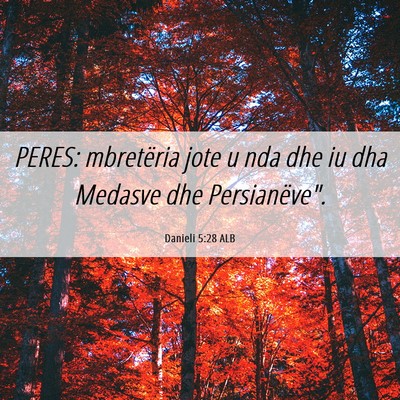 Picture 06 - Danieli 5:28 ALB - PERES: mbretëria jote u nda dhe iu dha Medasve - Bible Verse Picture