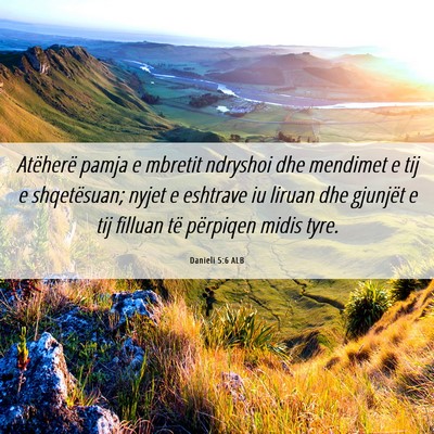 Picture 06 - Danieli 5:6 ALB - Atëherë pamja e mbretit ndryshoi dhe mendimet e - Bible Verse Picture