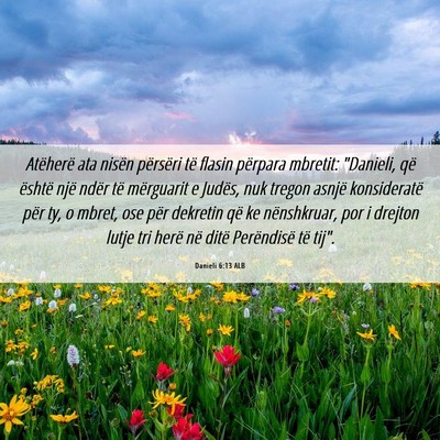 Picture 06 - Danieli 6:13 ALB - Atëherë ata nisën përsëri të flasin - Bible Verse Picture