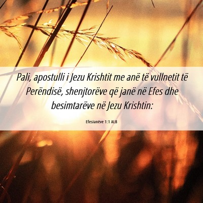 Picture 06 - Efesianëve 1:1 ALB - Pali, apostulli i Jezu Krishtit me anë të - Bible Verse Picture