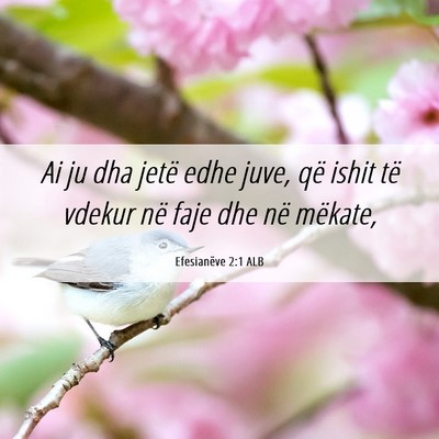 Picture 06 - Efesianëve 2:1 ALB - Ai ju dha jetë edhe juve, që ishit të vdekur - Bible Verse Picture
