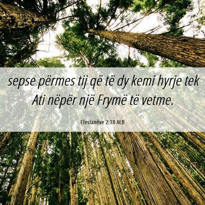 Picture 06 - Efesianëve 2:18 ALB - sepse përmes tij që të dy kemi hyrje tek Ati - Bible Verse Picture