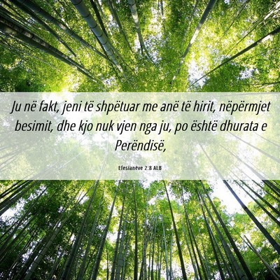 Picture 06 - Efesianëve 2:8 ALB - Ju në fakt, jeni të shpëtuar me anë të - Bible Verse Picture
