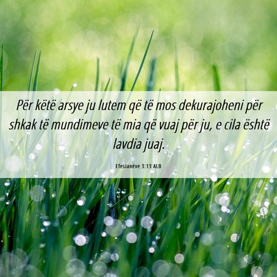 Picture 06 - Efesianëve 3:13 ALB - Për këtë arsye ju lutem që të mos - Bible Verse Picture
