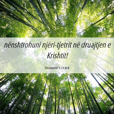 Picture 06 - Efesianëve 5:21 ALB - nënshtrohuni njëri-tjetrit në druajtjen e - Bible Verse Picture