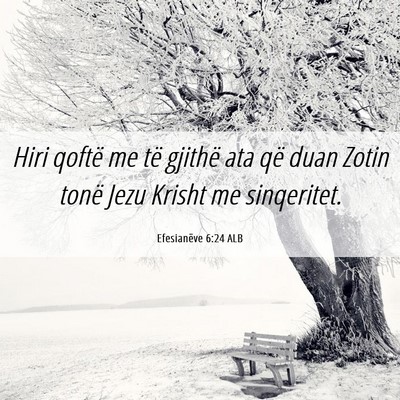 Picture 06 - Efesianëve 6:24 ALB - Hiri qoftë me të gjithë ata që duan Zotin - Bible Verse Picture