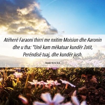 Picture 06 - Eksodi 10:16 ALB - Atëherë Faraoni thirri me nxitim Moisiun dhe - Bible Verse Picture