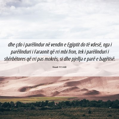Picture 06 - Eksodi 11:5 ALB - dhe çdo i parëlindur në vendin e Egjiptit do - Bible Verse Picture