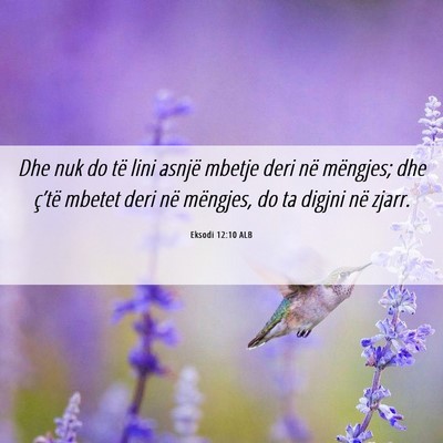 Picture 06 - Eksodi 12:10 ALB - Dhe nuk do të lini asnjë mbetje deri në - Bible Verse Picture