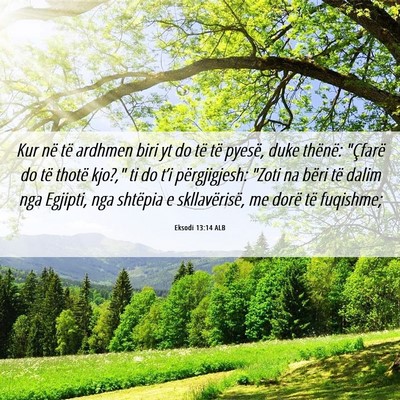 Picture 06 - Eksodi 13:14 ALB - Kur në të ardhmen biri yt do të të pyesë, - Bible Verse Picture