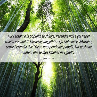 Picture 06 - Eksodi 13:17 ALB - Kur Faraoni e la popullin të shkojë, Perëndia - Bible Verse Picture