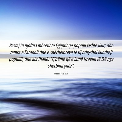 Picture 06 - Eksodi 14:5 ALB - Pastaj iu njoftua mbretit të Egjiptit që - Bible Verse Picture