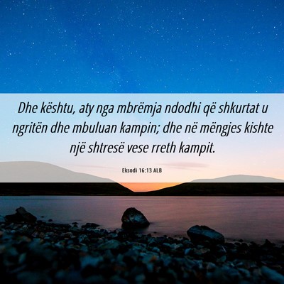 Picture 06 - Eksodi 16:13 ALB - Dhe kështu, aty nga mbrëmja ndodhi që shkurtat - Bible Verse Picture