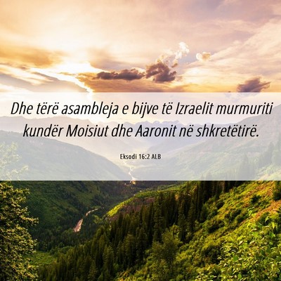 Picture 06 - Eksodi 16:2 ALB - Dhe tërë asambleja e bijve të Izraelit - Bible Verse Picture