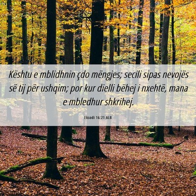 Picture 06 - Eksodi 16:21 ALB - Kështu e mblidhnin çdo mëngjes; secili sipas - Bible Verse Picture