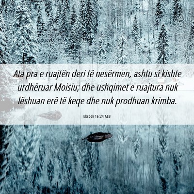 Picture 06 - Eksodi 16:24 ALB - Ata pra e ruajtën deri të nesërmen, ashtu si - Bible Verse Picture